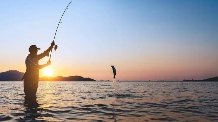 为什么钓鱼容易让人沉迷？