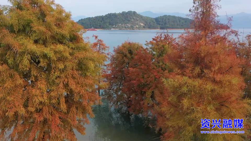 东江湖白廊景区：秋色如画