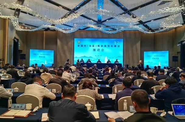 湖南省在全国村（社区）残协规范化建设推进会议上作典型发言