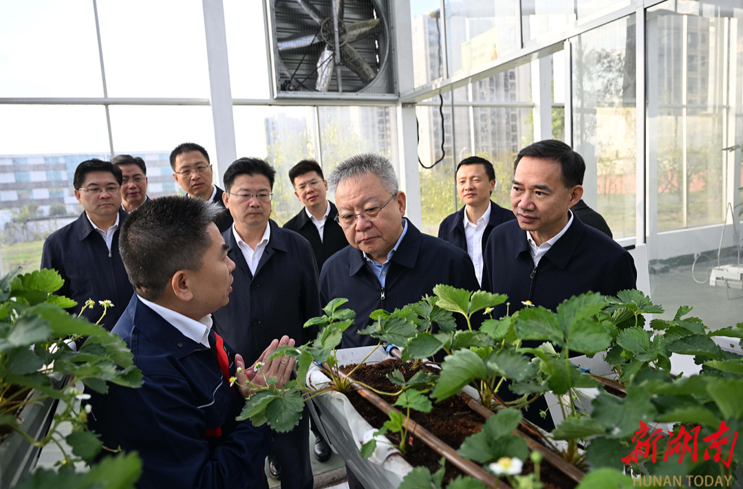 湘商要聞|沈曉明在永州調(diào)研：落實(shí)高質(zhì)量發(fā)展根本要求 推動(dòng)各項(xiàng)工作進(jìn)位爭(zhēng)先