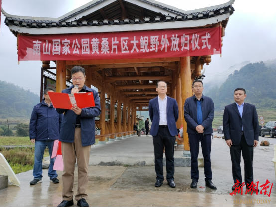 我国特有珍稀物种大鲵在南山国家公园黄桑片区野外放归_邵阳头条网