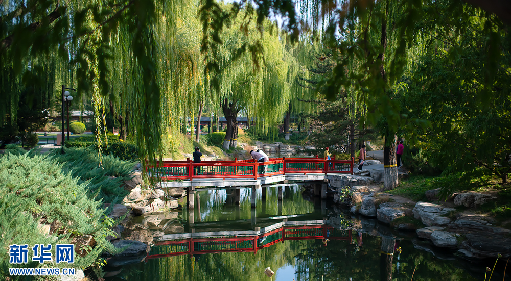 北京中山公园：捕捉秋之魅力