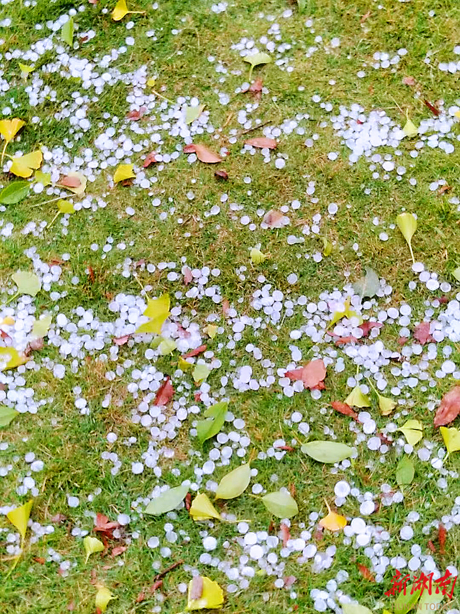 67长沙突降冰雹