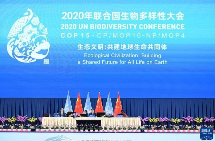 中国在推动生物多样性保护国际合作方面树立了典范——专访全球环境基金首席执行官罗德里格斯
