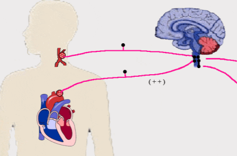 冬天穿高领衣服就难受？可能是“衣领综合征”