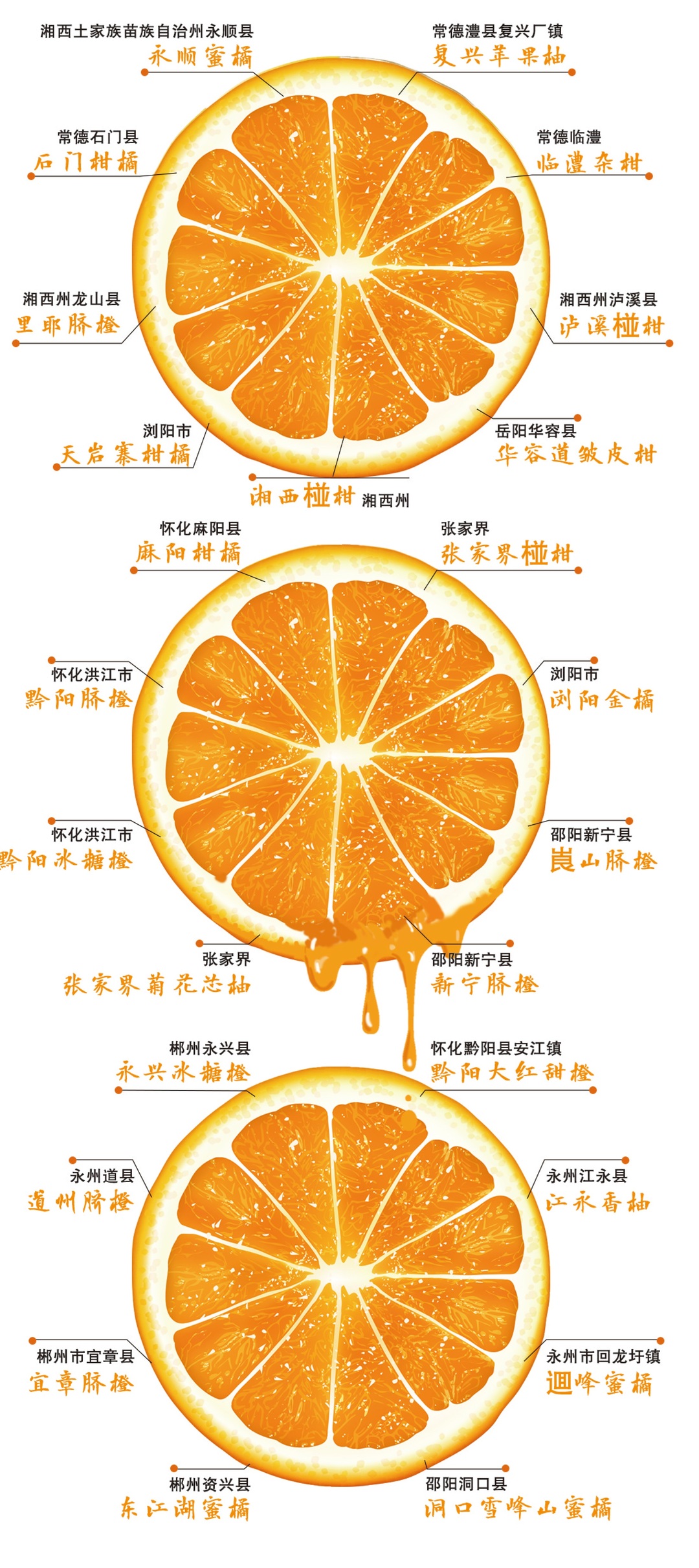 湖南第一大水果为什么是柑橘