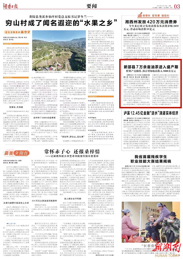 新邵县7万余亩油茶进入盛产期 鲜果产量翻番,预计增加农民收入3000余万元_邵阳头条网