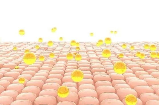 你对脂肪的认知准确吗？专家指出六大误区