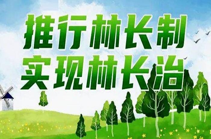 坚持“两个着力三个聚焦” 桃江县推深做实林长制