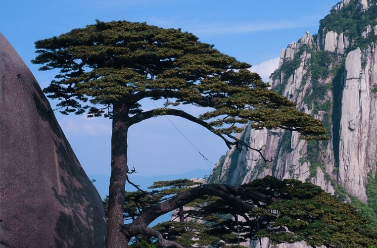 多地旅游景点推出门票减免优惠政策，旅行社跟团产品降价二至三成