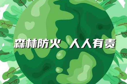 全国重点林区雷电探测网和火险监测网初步建成