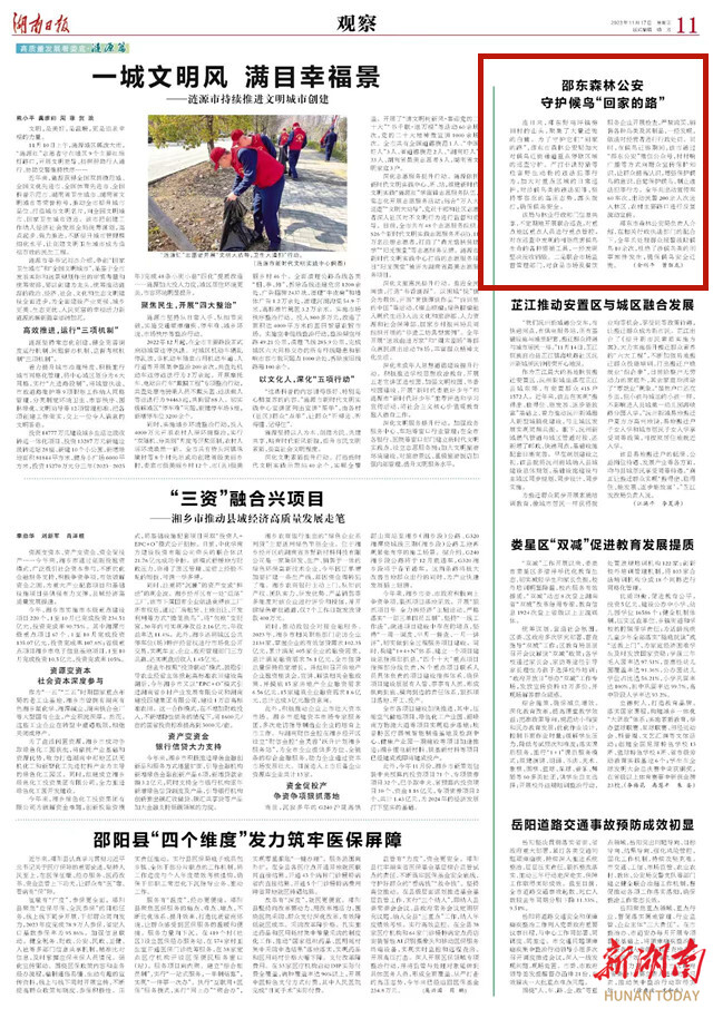 邵东森林公安守护候鸟“回家的路”_邵阳头条网