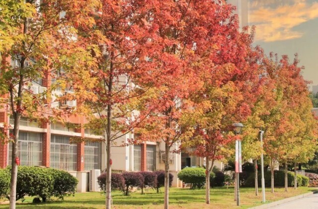 秋色无边～解锁湖南高校秋冬限定款浪漫