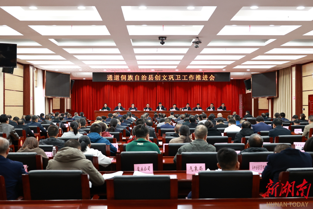 全县创文巩卫工作推进会召开