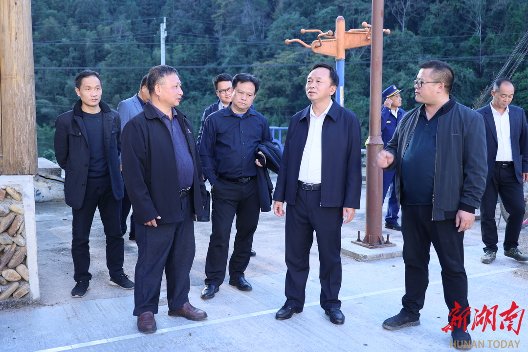 田刚到万佛山镇调研督导乡村振兴及安全生产工作