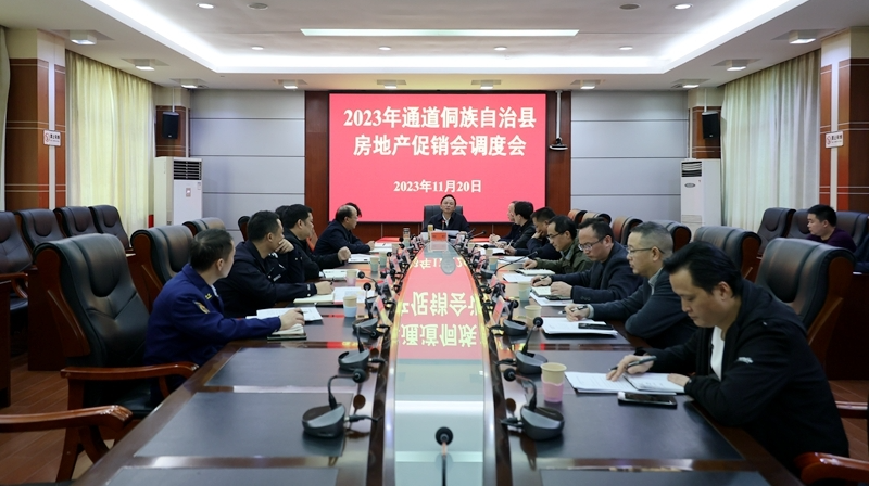 田刚：调度2023年全县房地产促销会工作