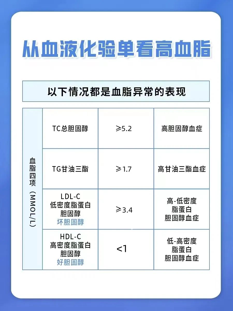 “生命之河的无声杀手”——击退高血脂的四大法宝请记牢 - 时政要闻 - 新湖南