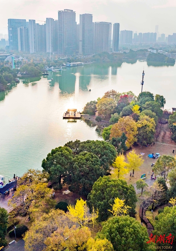 城市公园冬景如画