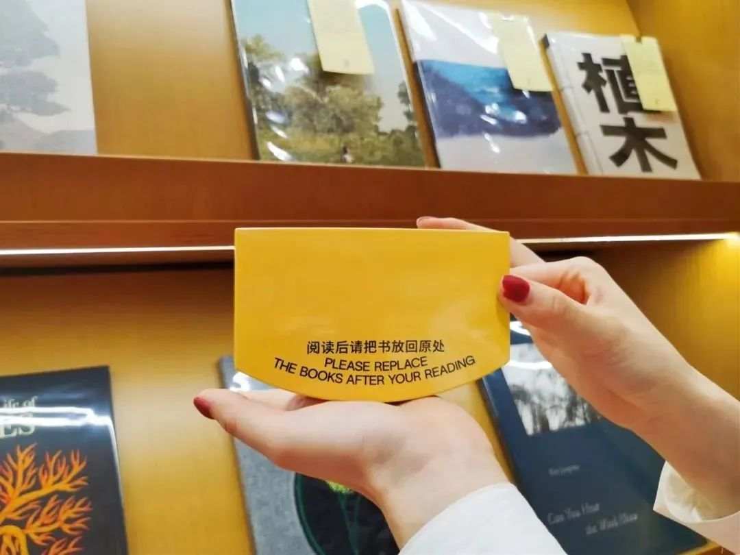 书店式文化空间，怎么就火了？