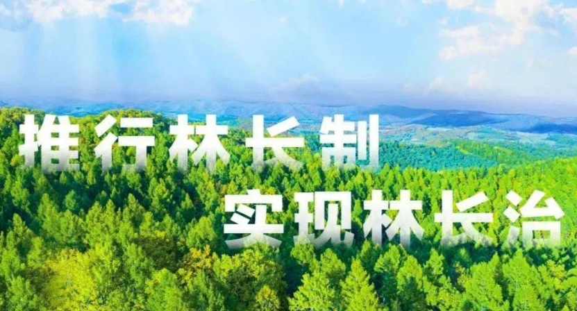 澧县加快推进林旅融合发展 今年1至10月林旅产业产值达12亿元