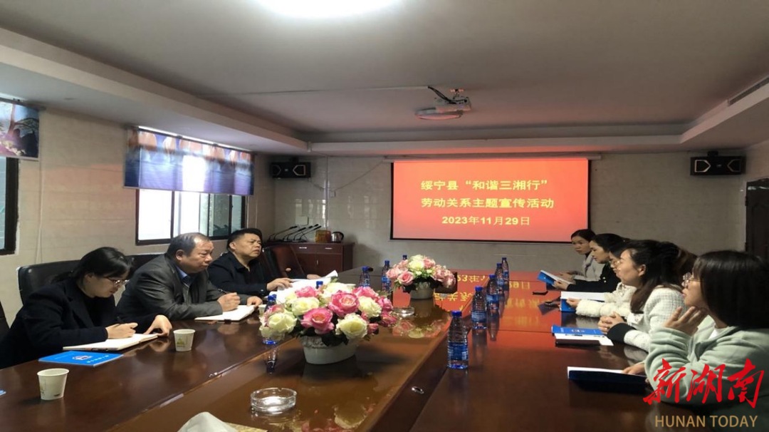 绥宁县人社局开展“和谐三湘行”劳动关系主题宣传进企业活动_邵阳头条网