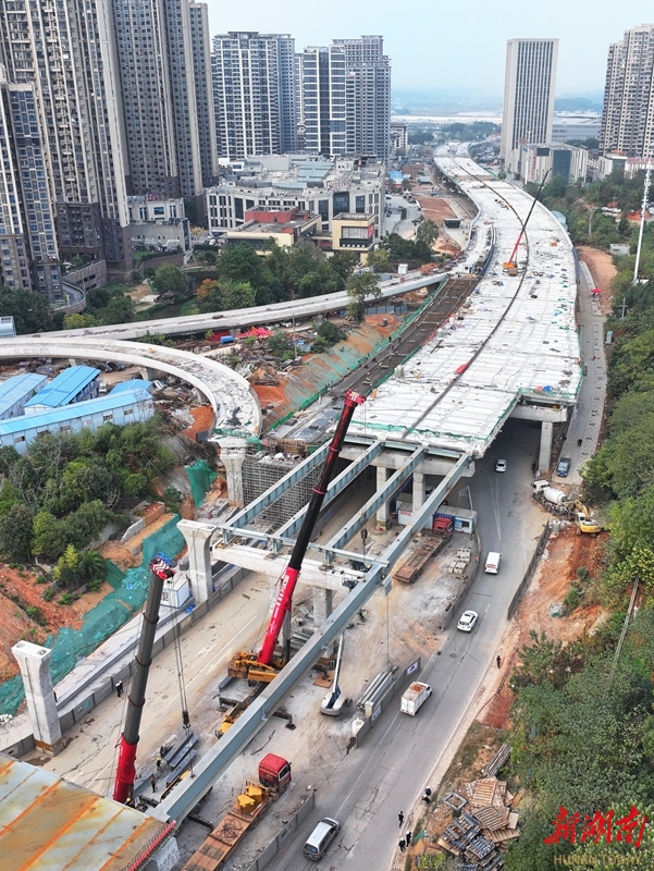 万家丽路北延线高架桥主线桥钢梁全线合龙