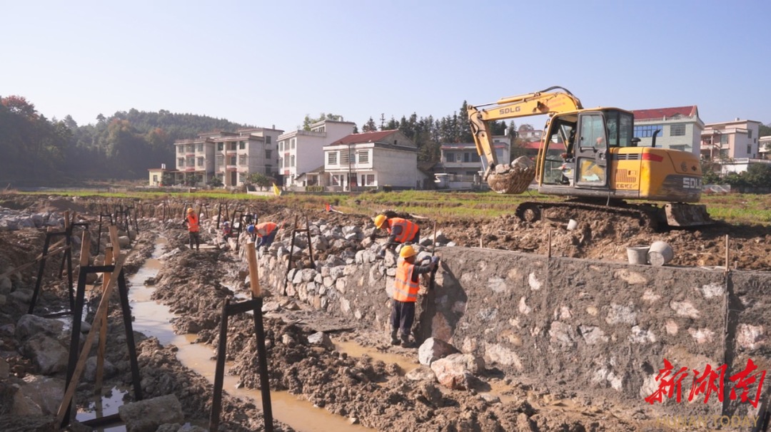 洞口县扎实推进高标准农田建设_邵阳头条网
