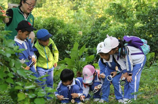 自然教育导师培训班在重庆举办