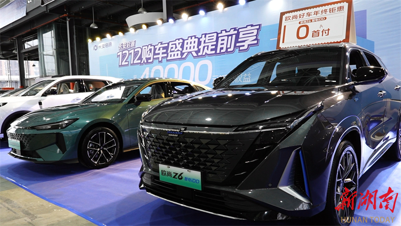 第十一届湖南西部（怀化）汽车博览会开幕