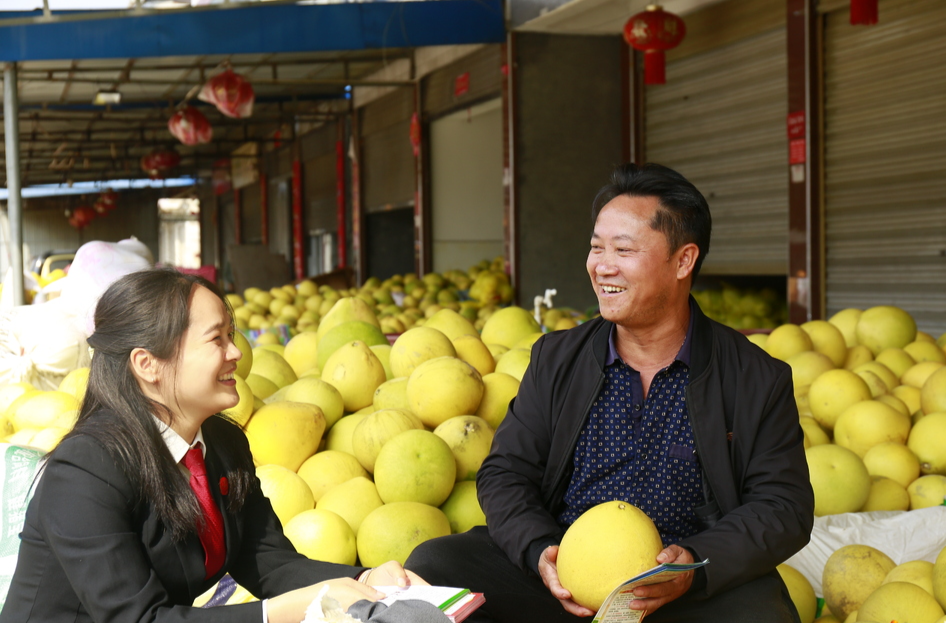 图片新闻 | 靖州：“柚”迎丰收季 普法正当时