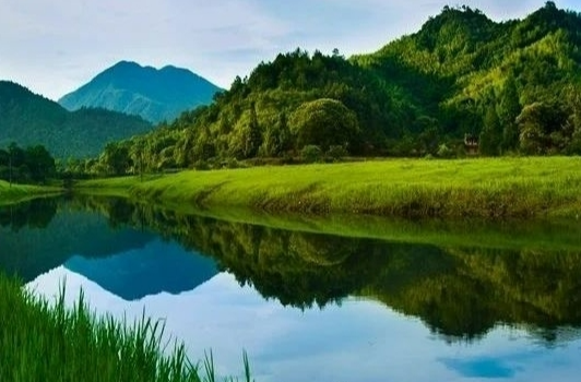 龙山县森林公安“三举措”筑牢生态环境保护屏障