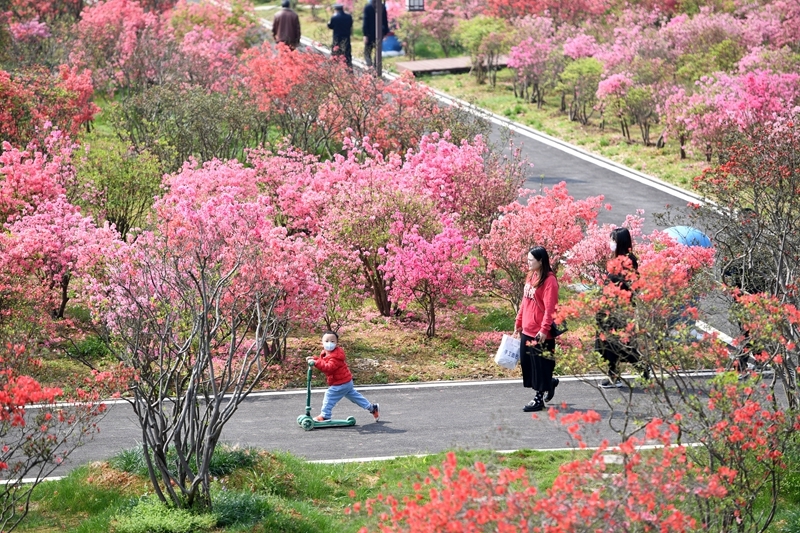 即将上新!湖南拟新增22家国家4A级景区