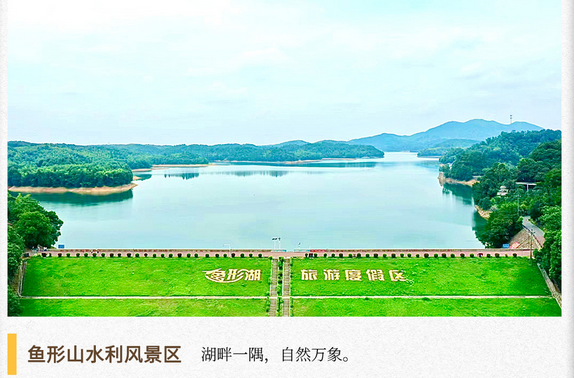 湖湘自然历｜水光潋滟⑬来看水库中的“大锦鲤”