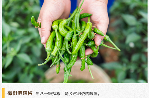 湖湘自然历丨如此多“椒” ①300元一市斤的辣椒里，有湘人灼烧的乡愁
