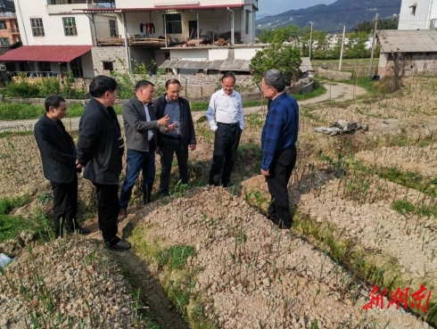 新宁:“崀山人才卡”暖了专家学者心_邵阳头条网