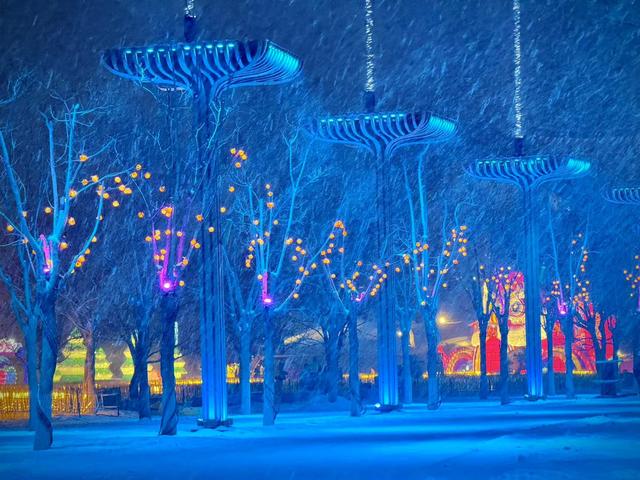 冬日北京又有新去处，北京世园花灯艺术节下周开幕