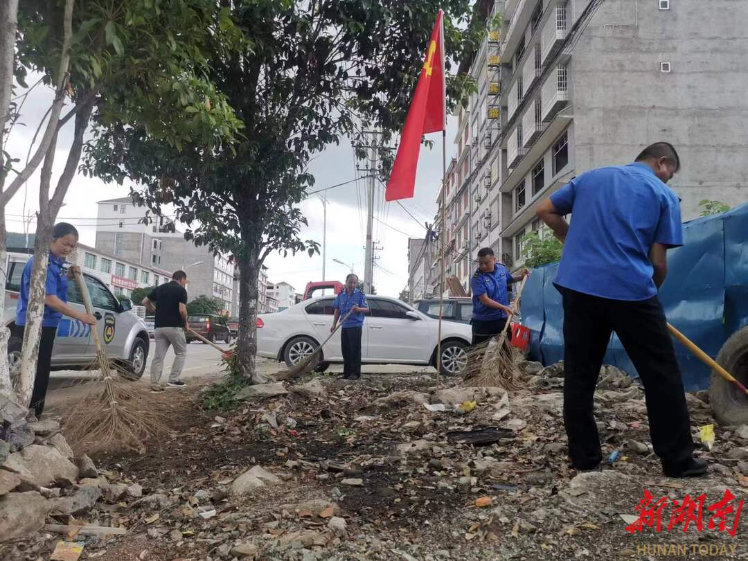 城步县城管局: 坚持党建引领,着力优化营商环境_邵阳头条网