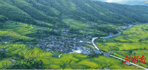 绥宁:用好“三线一单”成果,助力“两山”实践创新_邵阳头条网