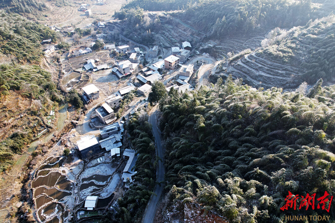 新宁县黄金牧场图片