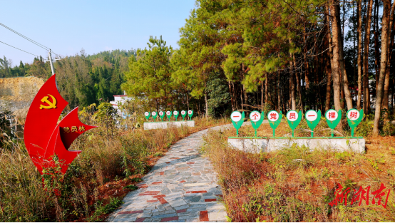 隆回栽植生态林1.5亿株,成林面积35万余亩_邵阳头条网