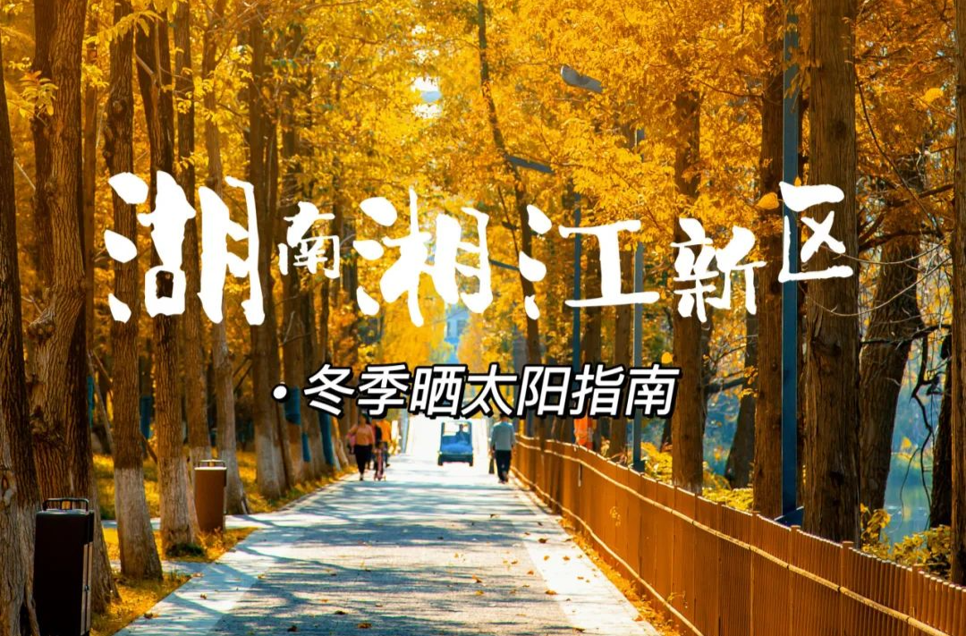 湖南湘江新区冬季晒太阳指南 | 去公园感受生活