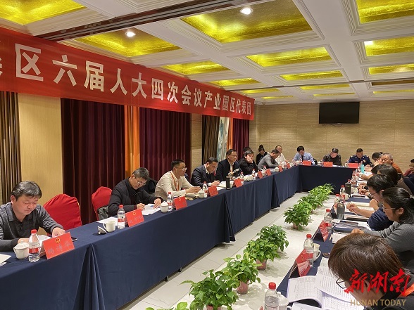 刘正仁参加岳阳市云溪区第六届人民代表 大会第四次会议分团讨论