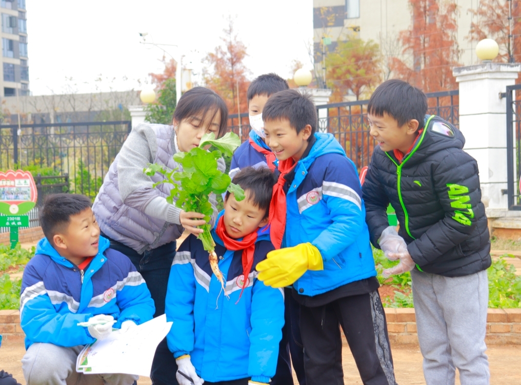 【未来之星】长沙县蓓蕾小学开展丰收节系列活动