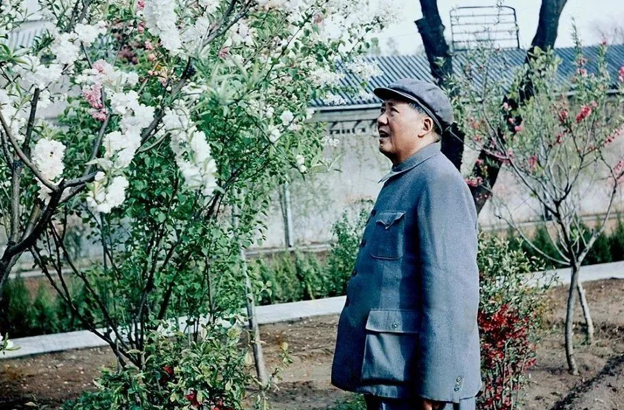 毛泽东对跳出历史周期率“第一个答案”的探索与启示