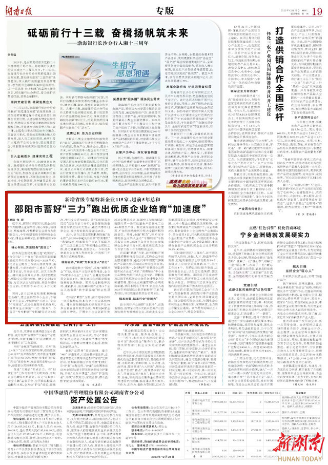 新增省级专精特新企业115家，超前5年总和 邵阳市蓄好“三力”跑出优质企业培育“加速度”_邵商网