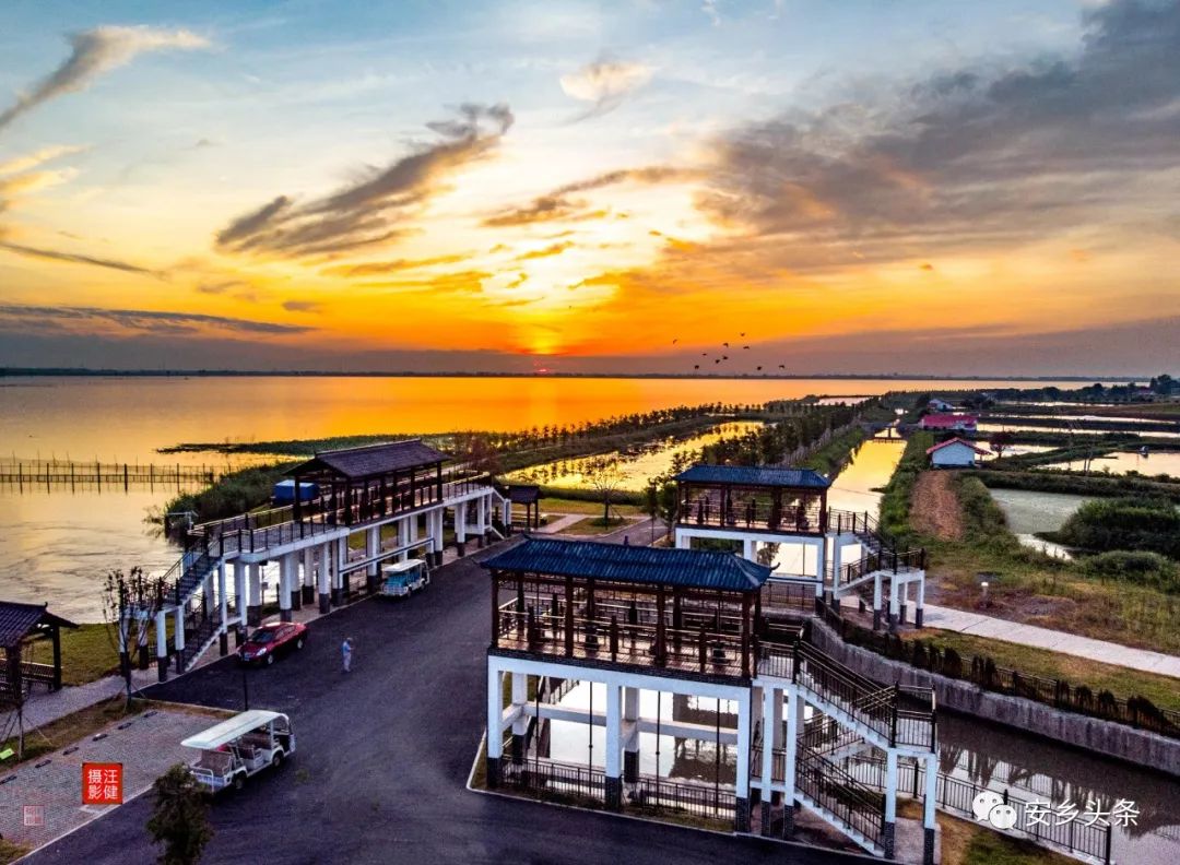 安乡:清美珊珀湖,生态青螺滩