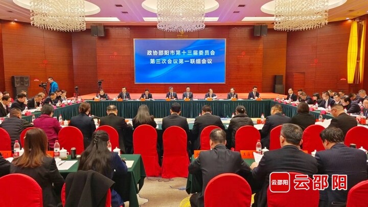 严华参加政协邵阳市第十三届委员会第三次会议第一联组讨论_邵阳头条网