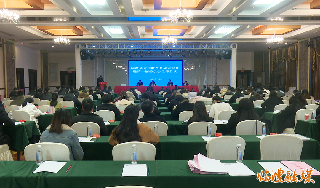临澧县青年联合会成立大会暨第一届委员会全体会议召开