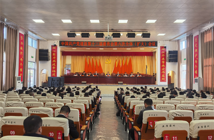 中共道县县委十三届六次全体（扩大）会议召开