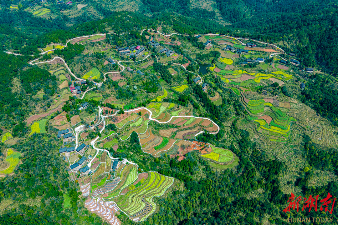 沅陵明溪口镇人大代表为人民带领群众勤劳致富